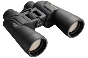 Olympus DPS I 10×50